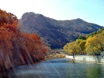 玖玖图库 免费图纸 